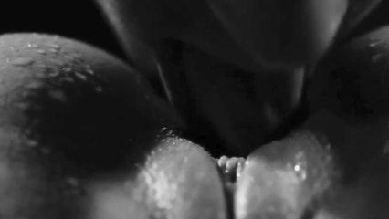 Sexo Oral Avançado
